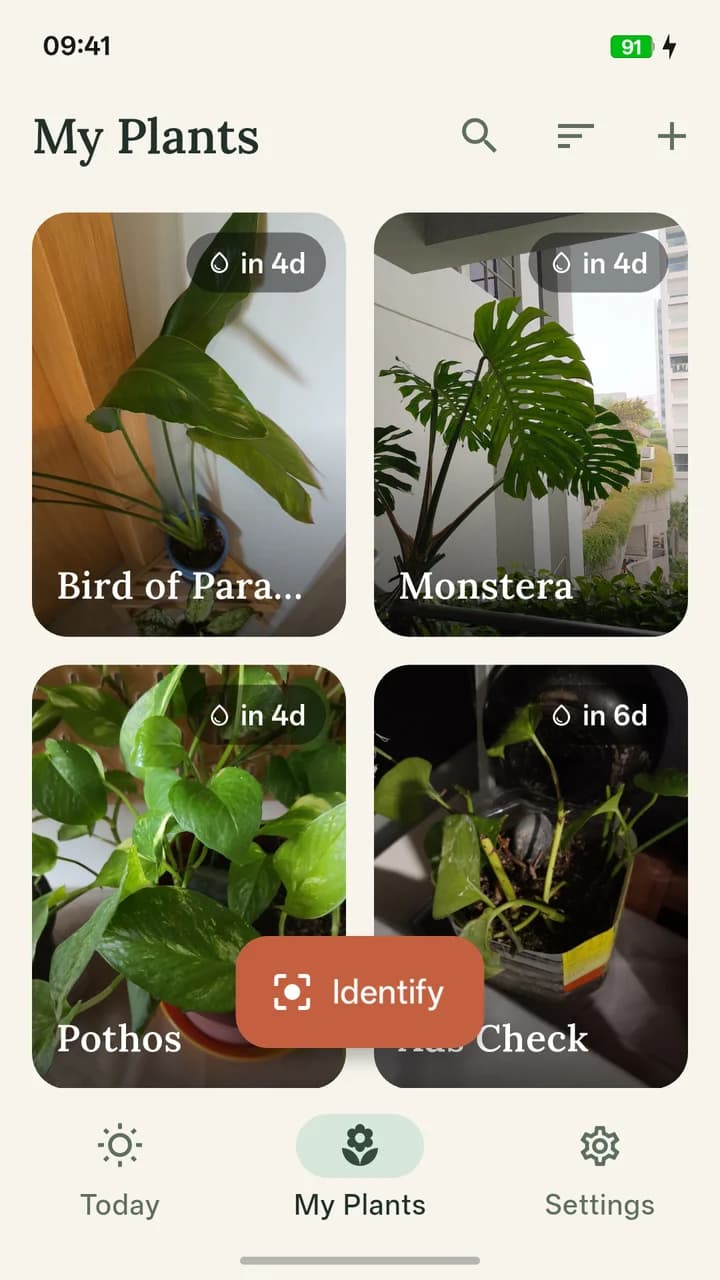GreenThumb My Plants collection with plant photos, watering due dates, search, sort, and add controls