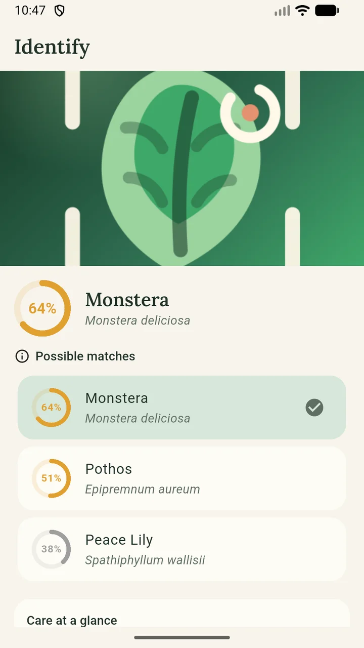 GreenThumb identification screen showing Monstera and alternative matches with confidence scores